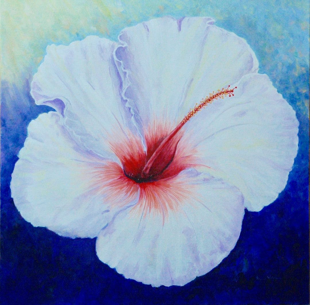 Giant White Hibiscus by Karen Wolfram