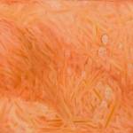 Persecution by Karen Wolfram