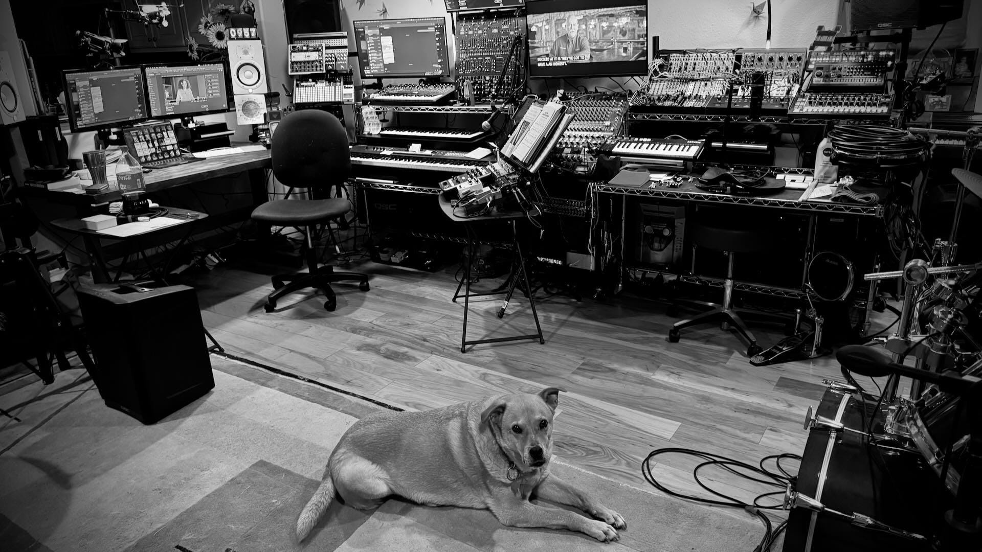 The Woodshed studio — where the streams and the builds happen